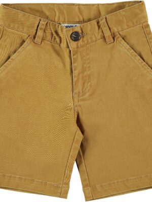 Bermuda ralph camel
