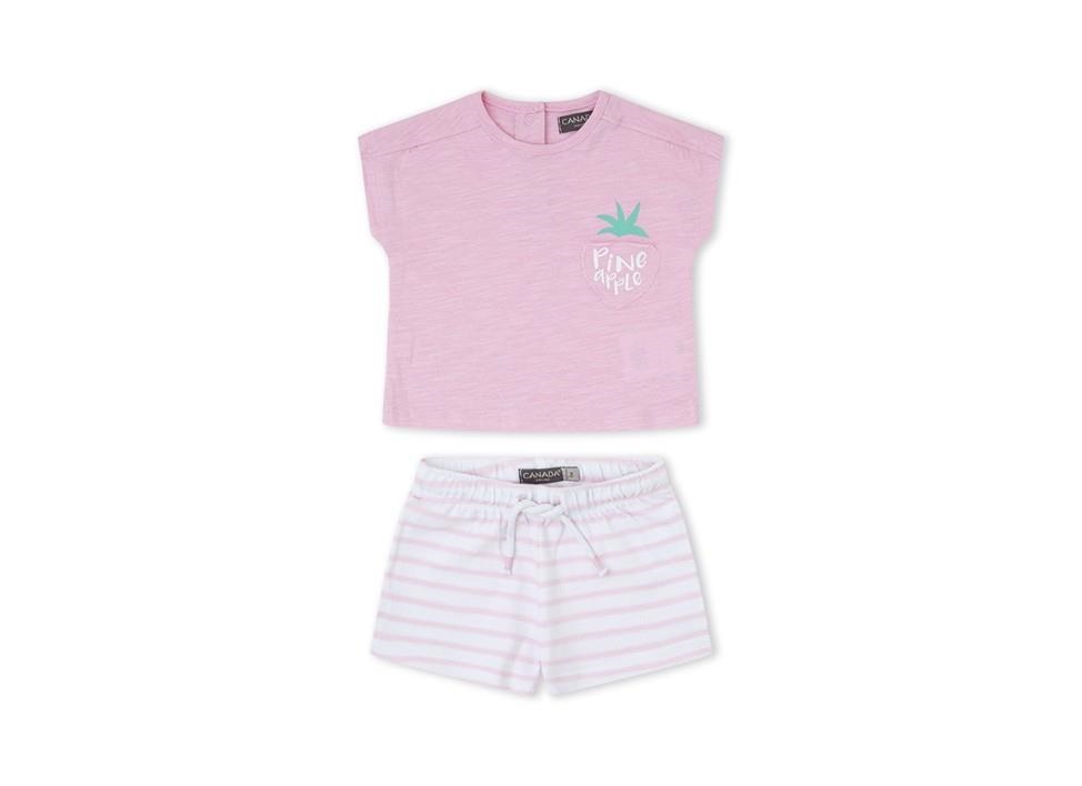 Conjunto Canada house Pineapple 1